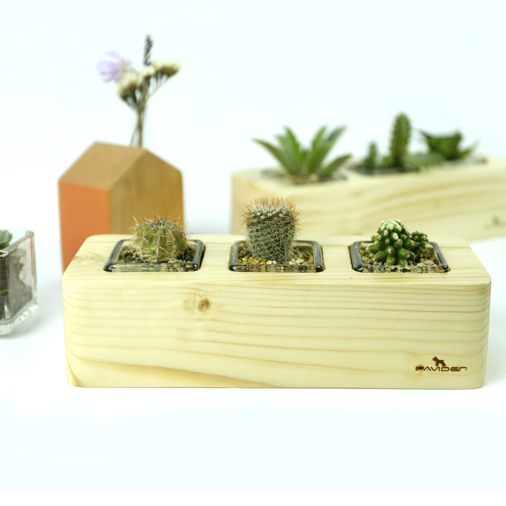 愛麗絲三座花盆【松木】多肉植物 小植栽用 愛麗絲三座花盆【松木】多肉植物 小植栽用